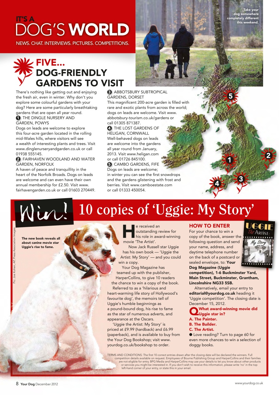 Your Dog Preview Pages