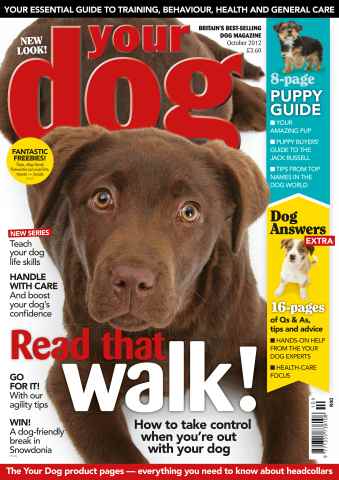 Your Dog issue Your Dog Magazine October 2012