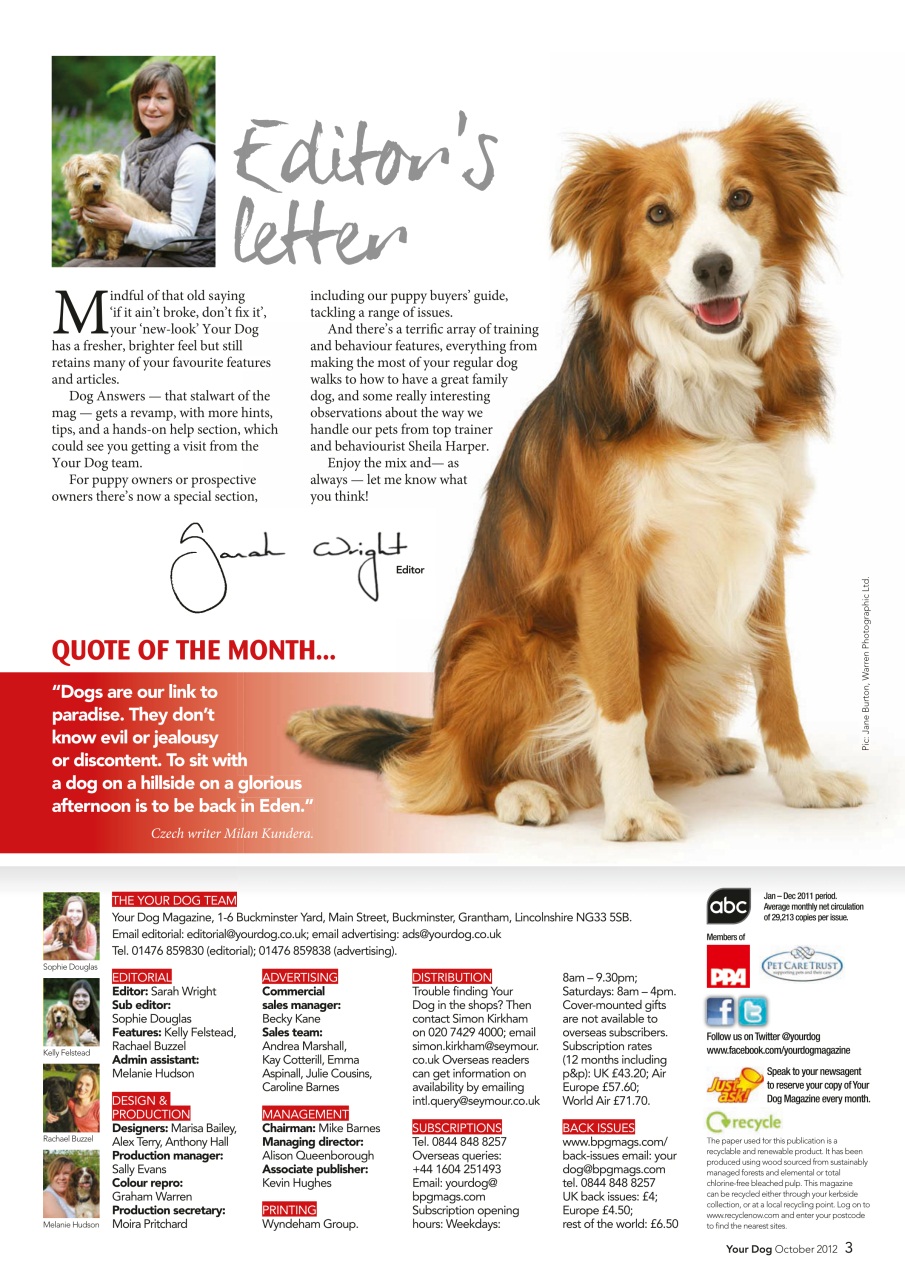 Your Dog Preview Pages