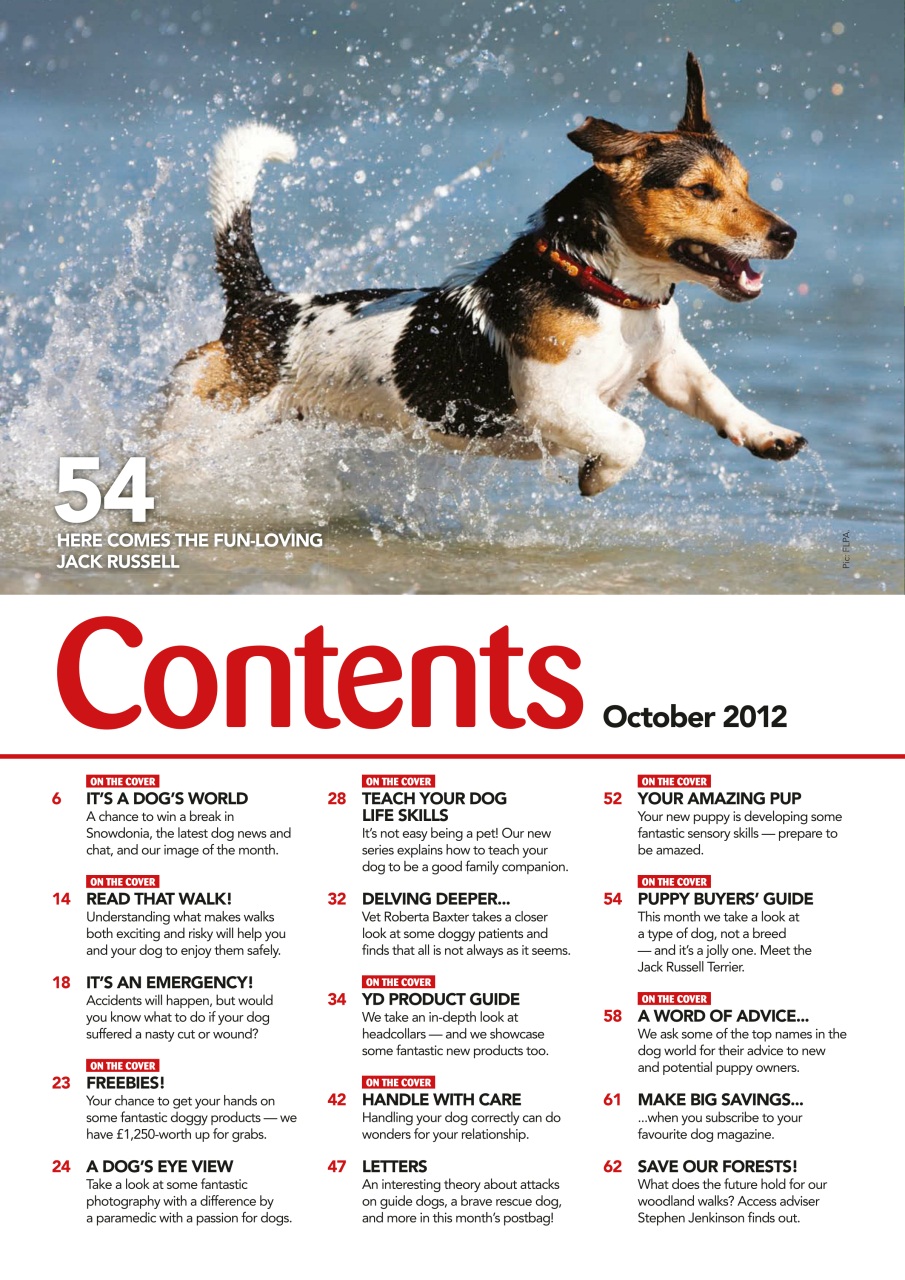 Your Dog Preview Pages