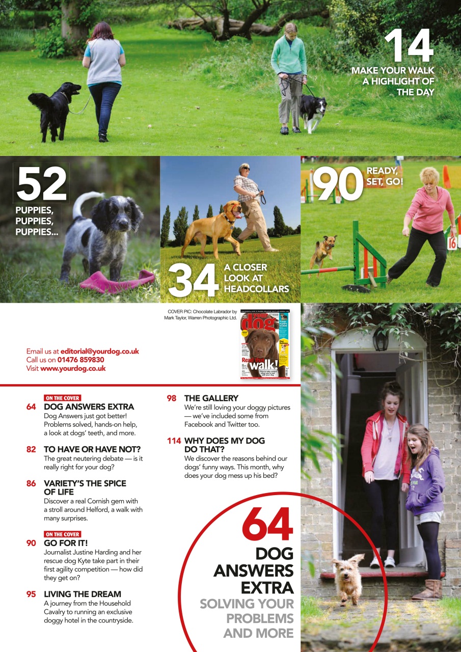 Your Dog Preview Pages