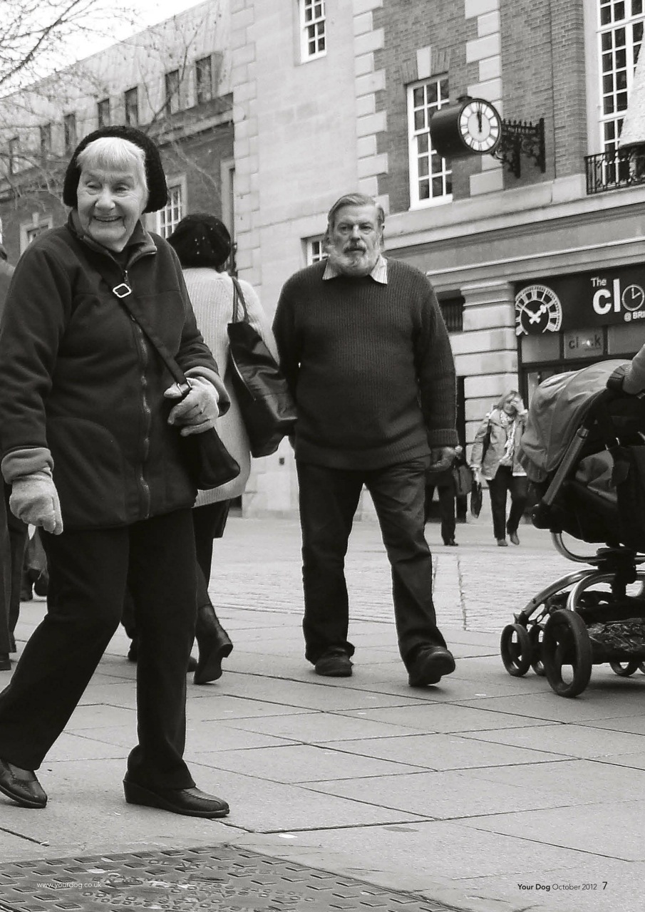 Your Dog Preview Pages