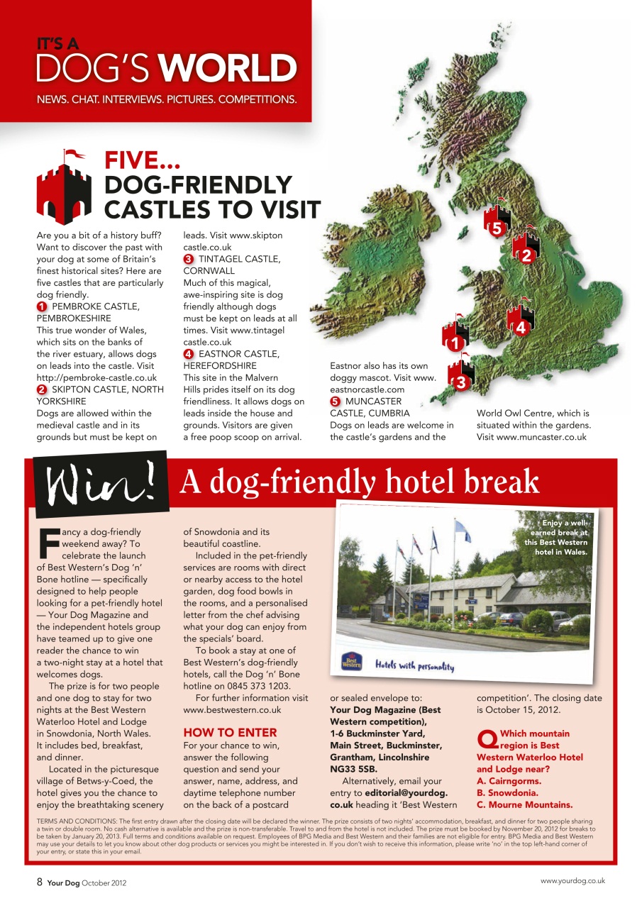 Your Dog Preview Pages