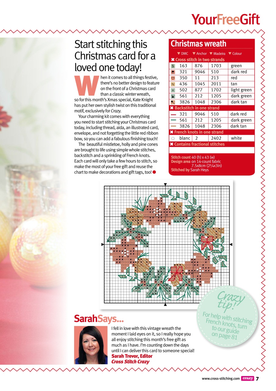 Cross Stitch Crazy Preview Pages