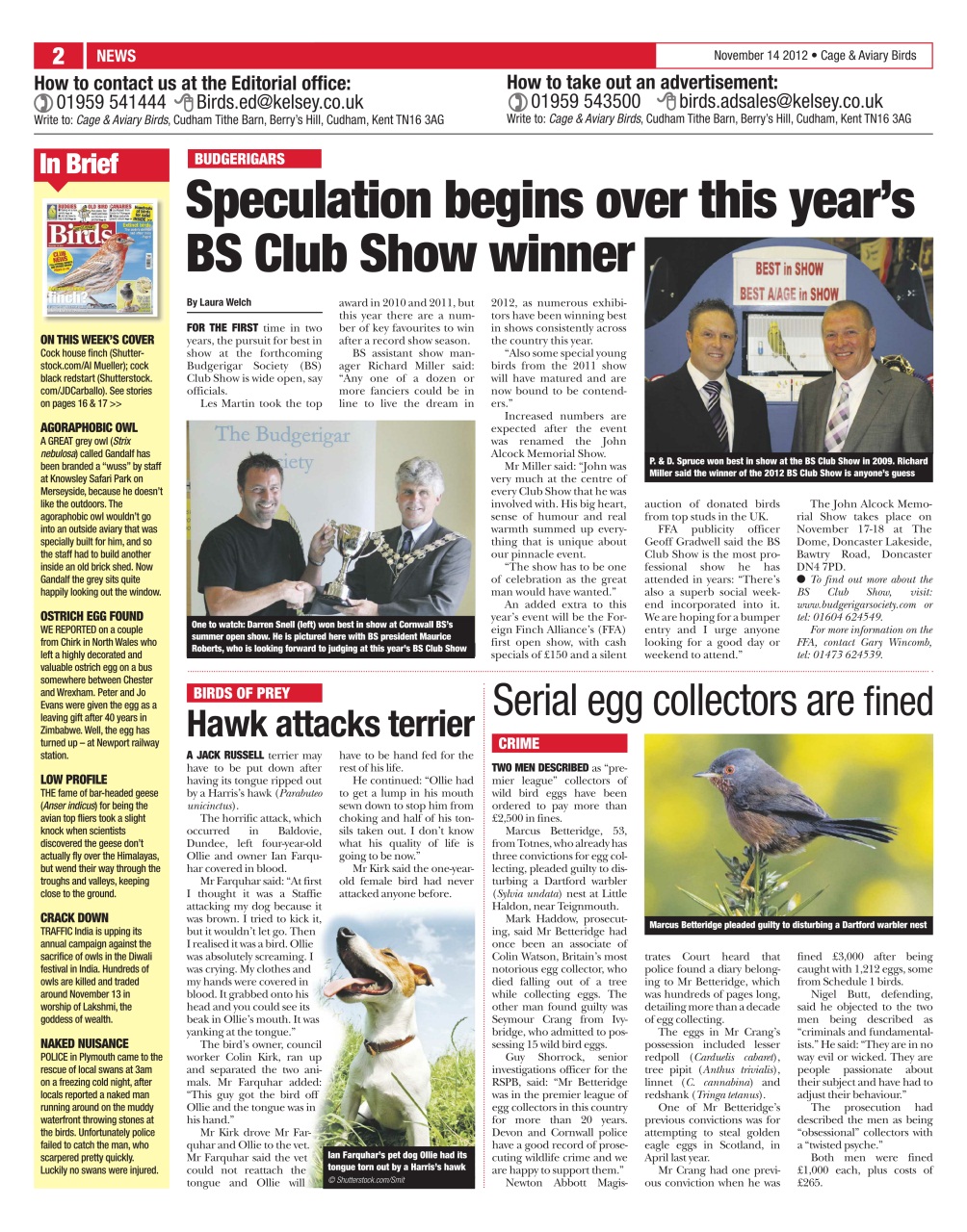 Cage & Aviary Birds Preview Pages