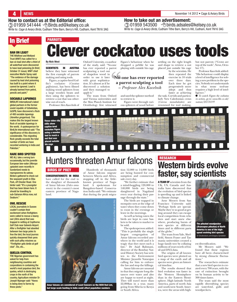 Cage & Aviary Birds Preview Pages