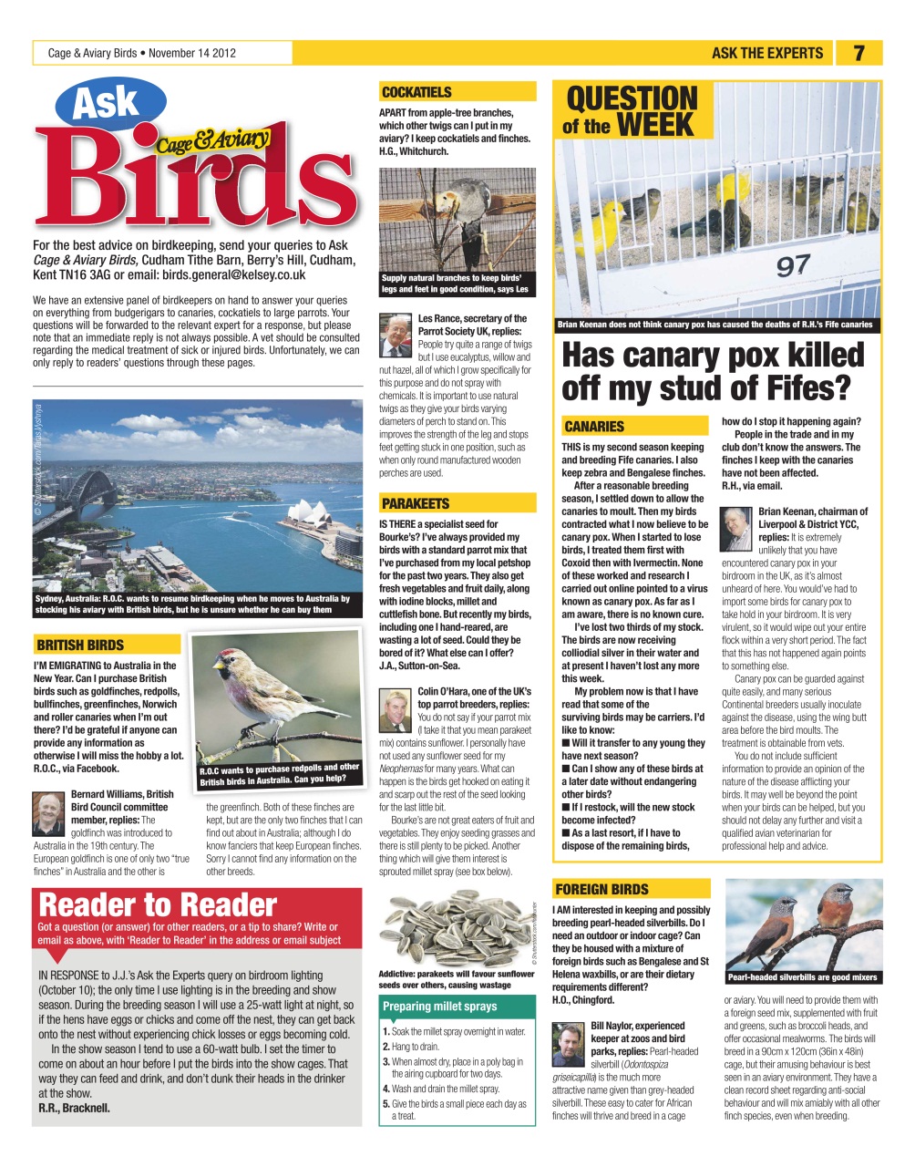 Cage & Aviary Birds Preview Pages