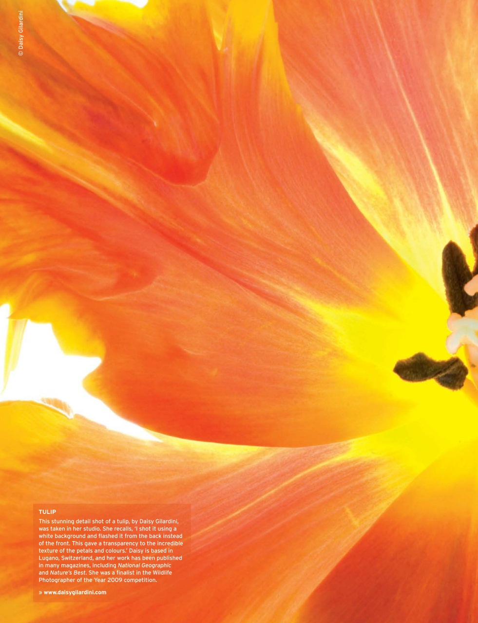 Outdoor Photography Preview Pages