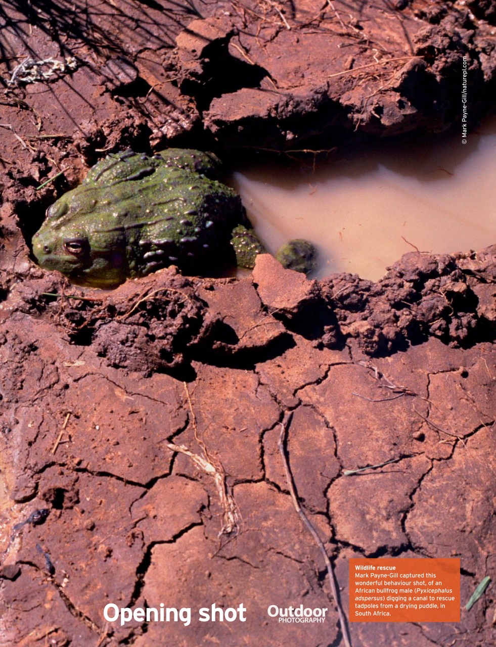 Outdoor Photography Preview Pages