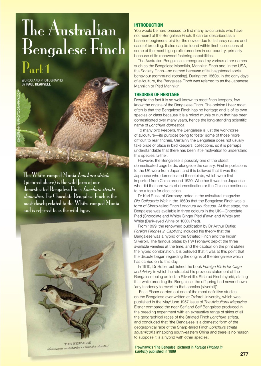Australian Birdkeeper Magazine Preview Pages