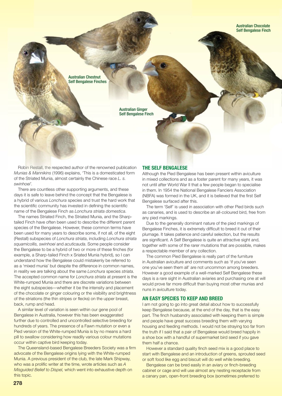 Australian Birdkeeper Magazine Preview Pages