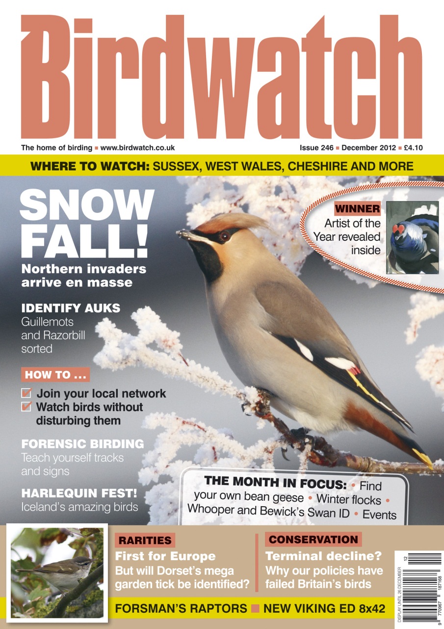 Birdwatch Magazine Preview Pages
