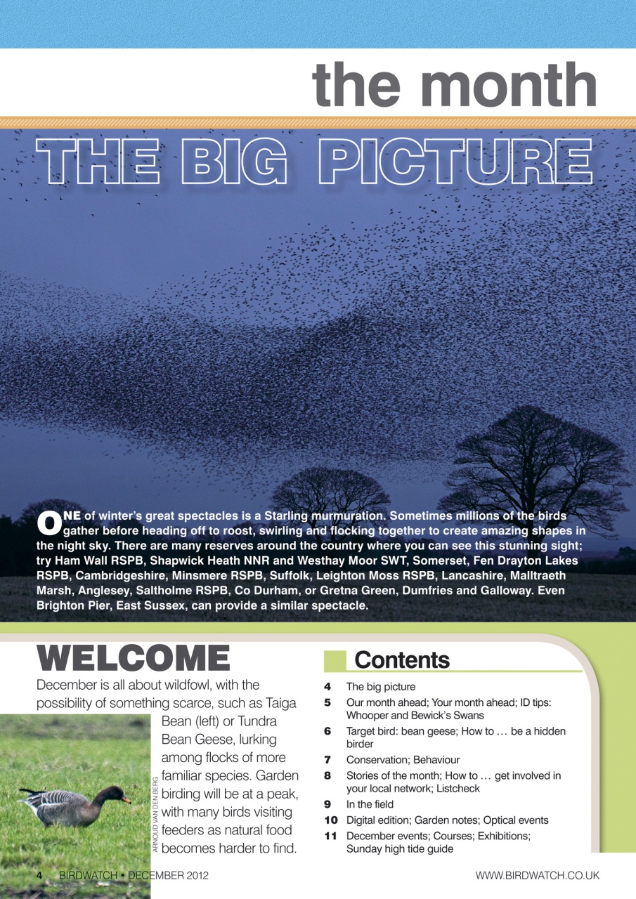 Birdwatch Magazine Preview Pages