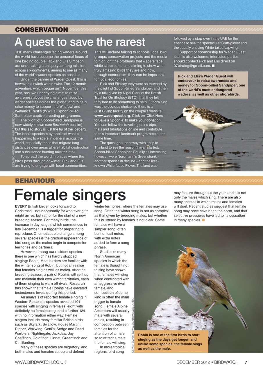 Birdwatch Magazine Preview Pages