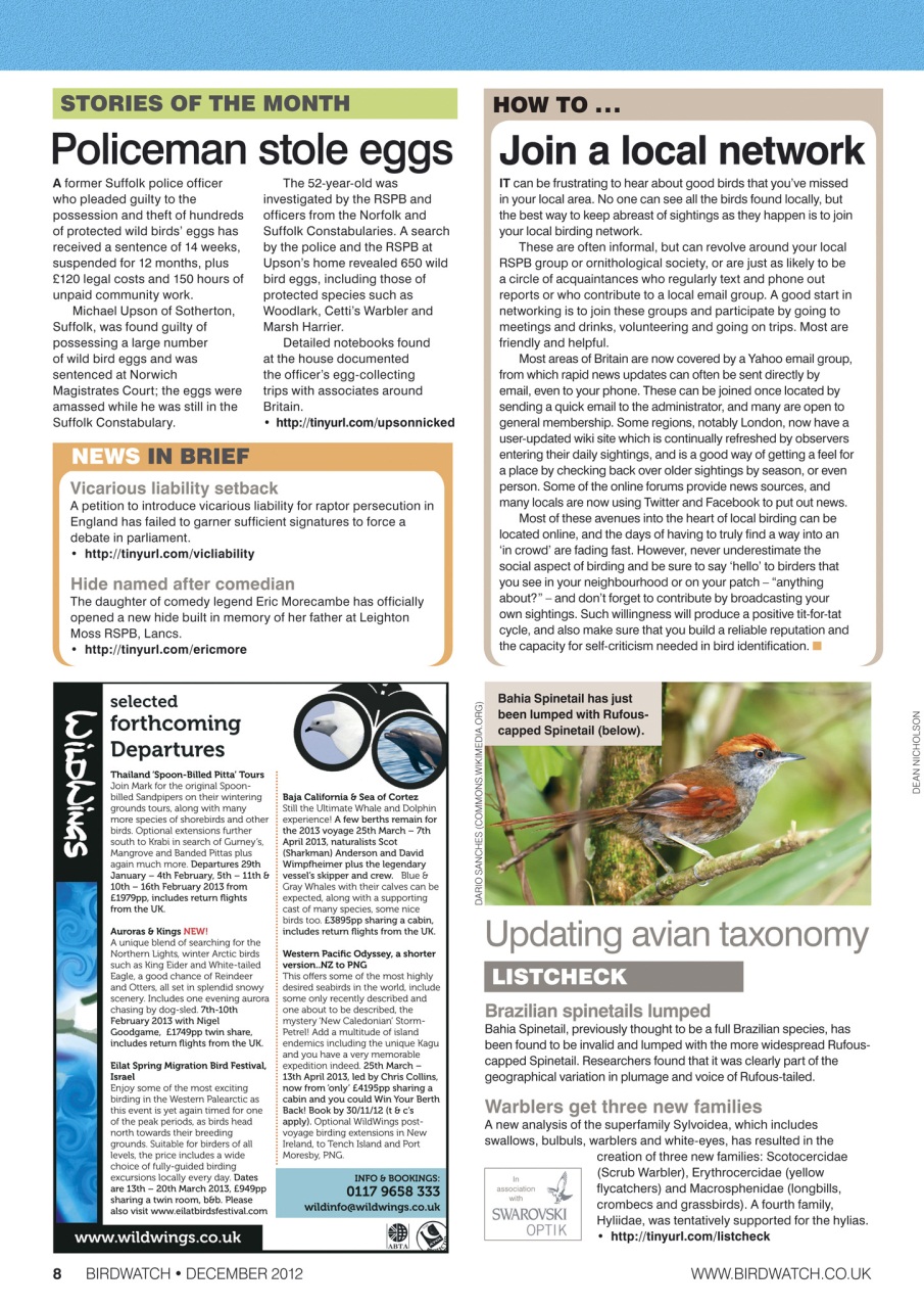Birdwatch Magazine Preview Pages