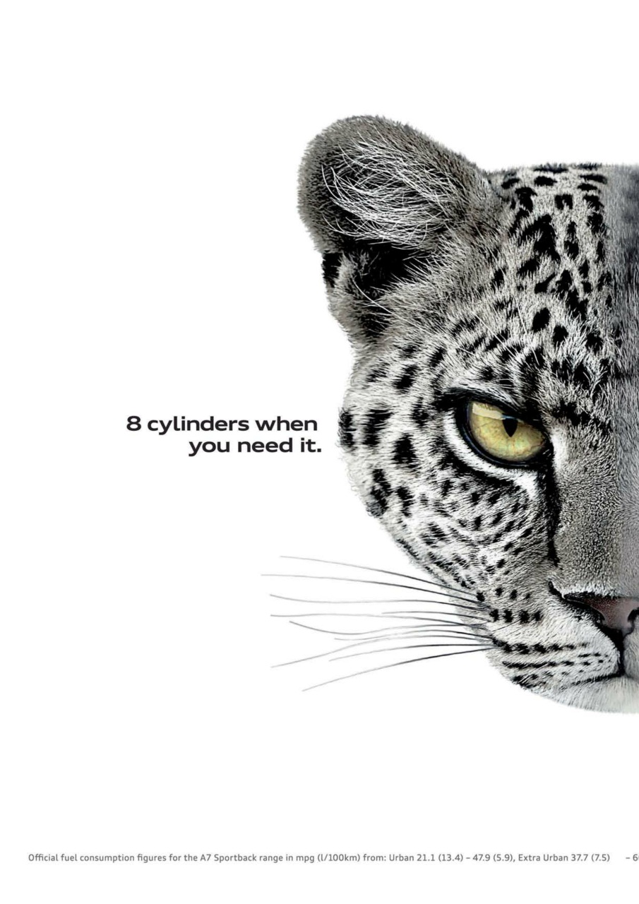 Diesel&EcoCar Magazine Preview Pages