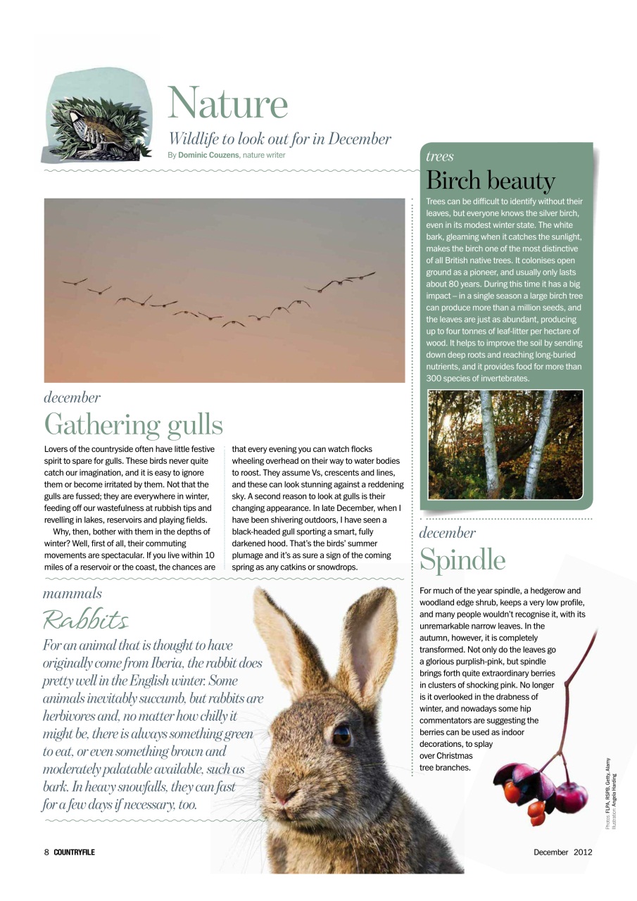 BBC Countryfile Magazine Preview Pages