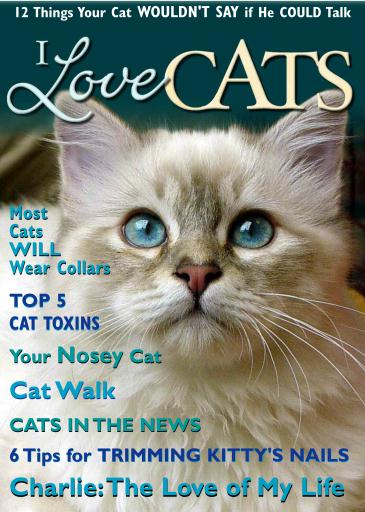 I Love Cats issue 