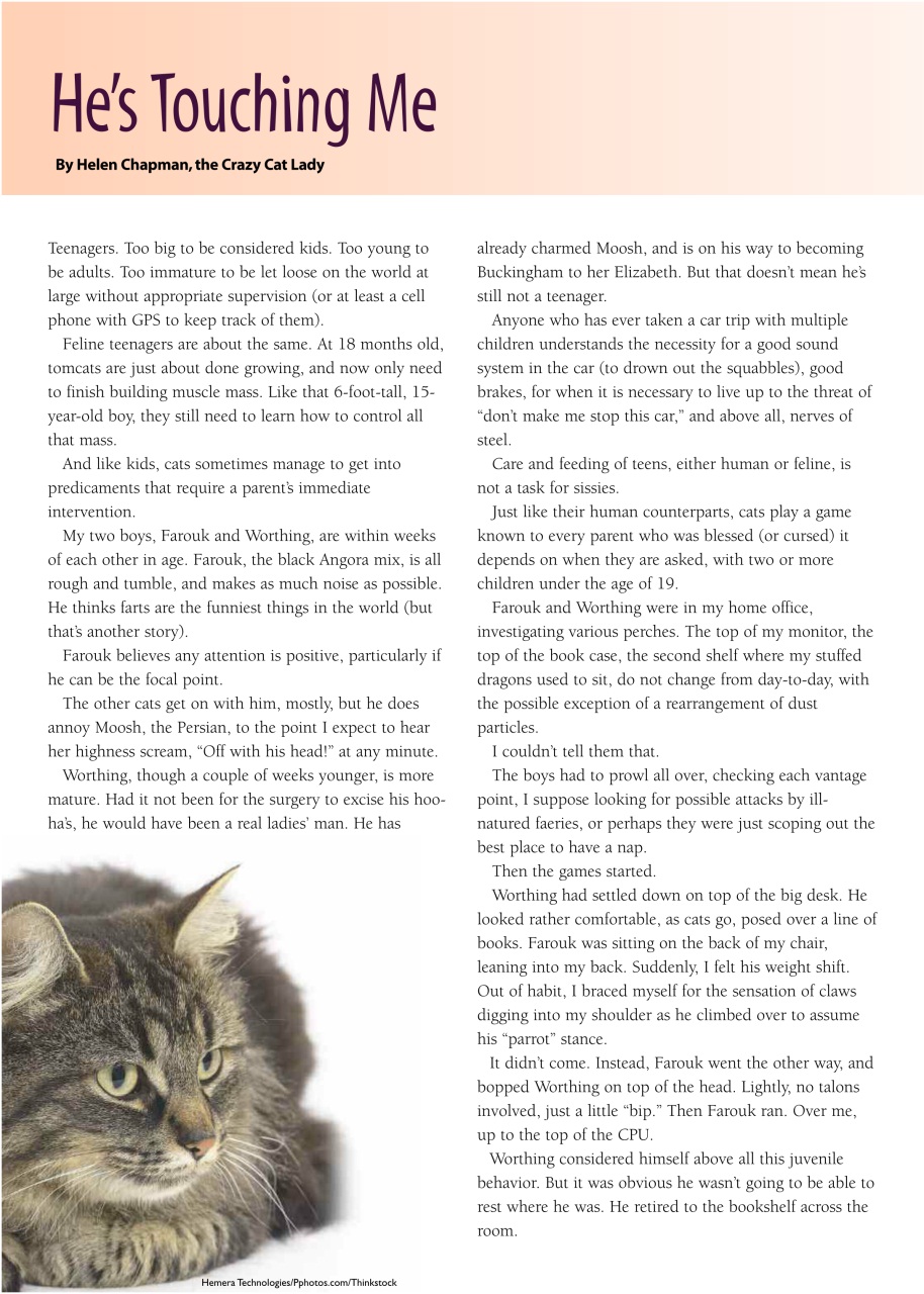 I Love Cats Preview Pages