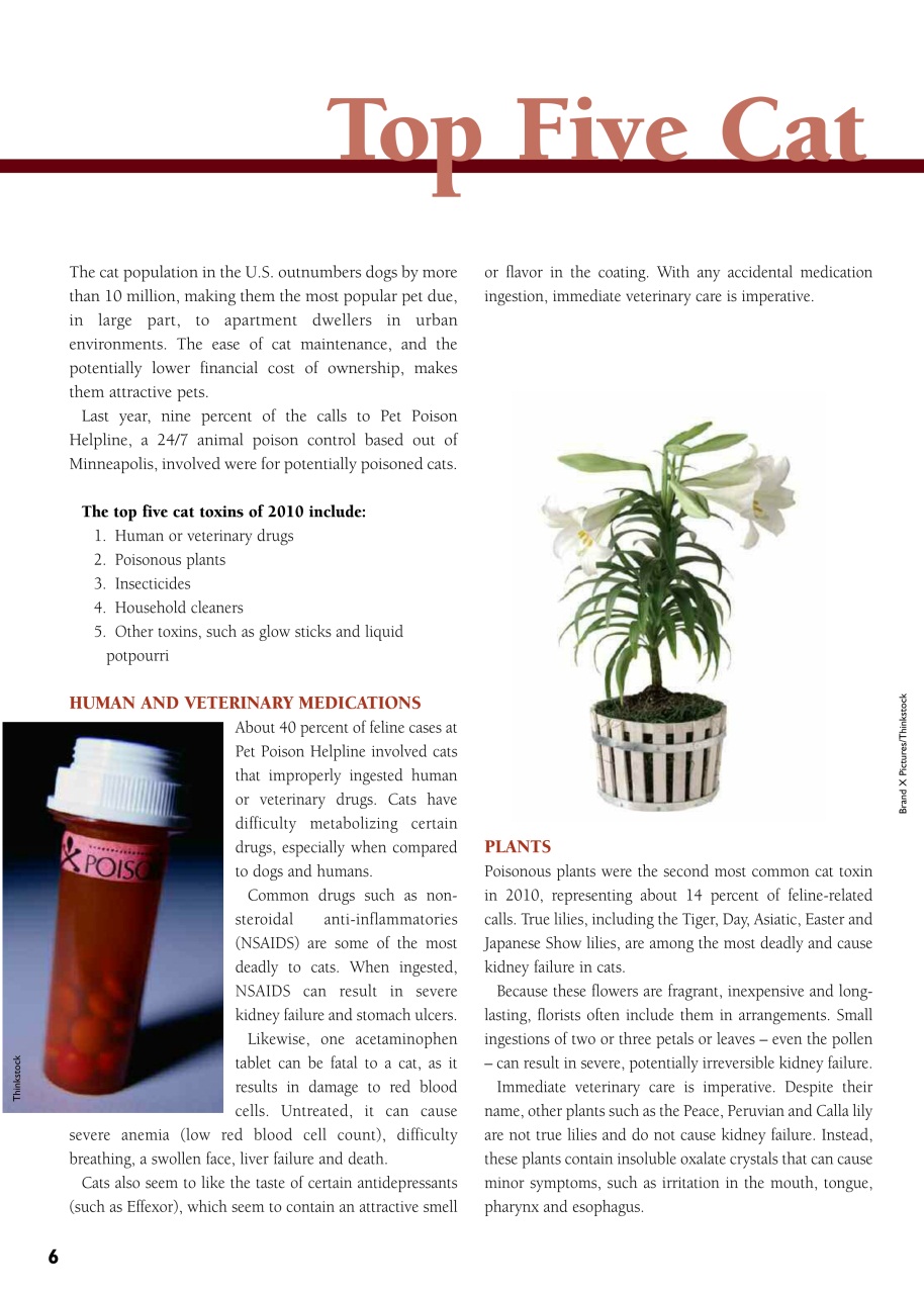 I Love Cats Preview Pages