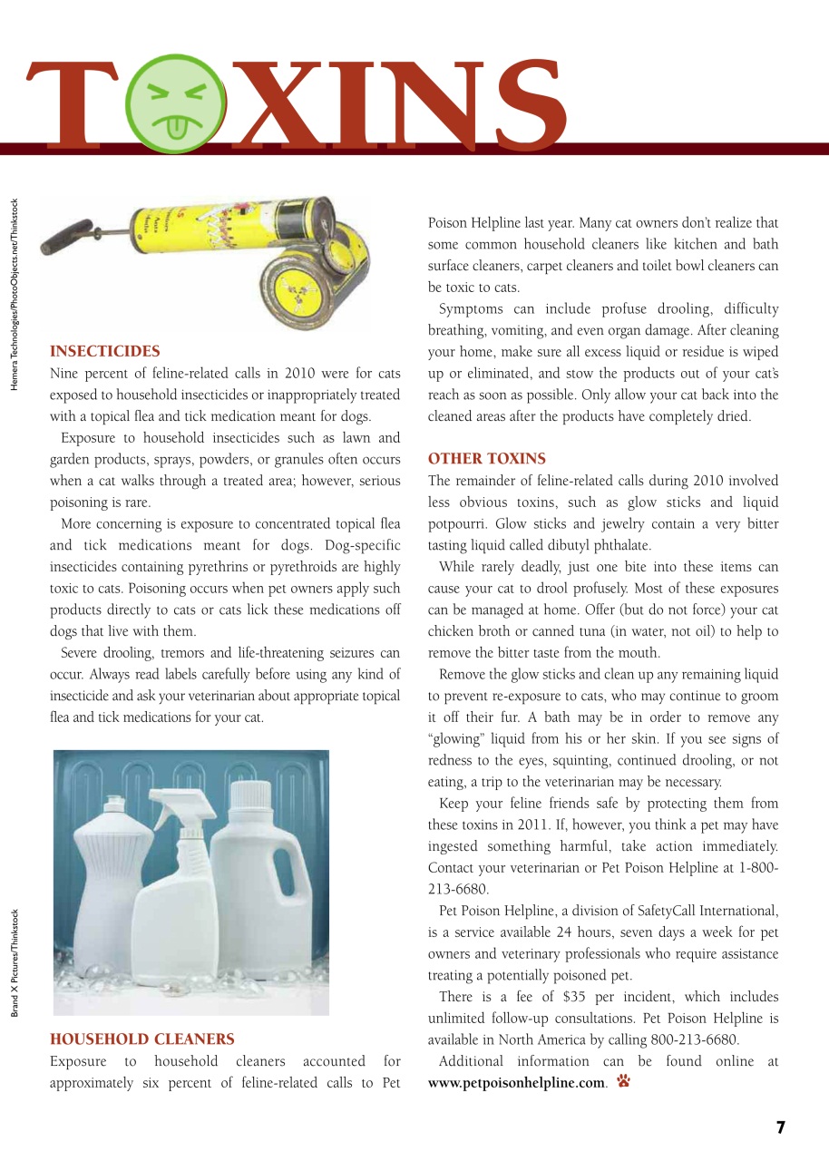 I Love Cats Preview Pages