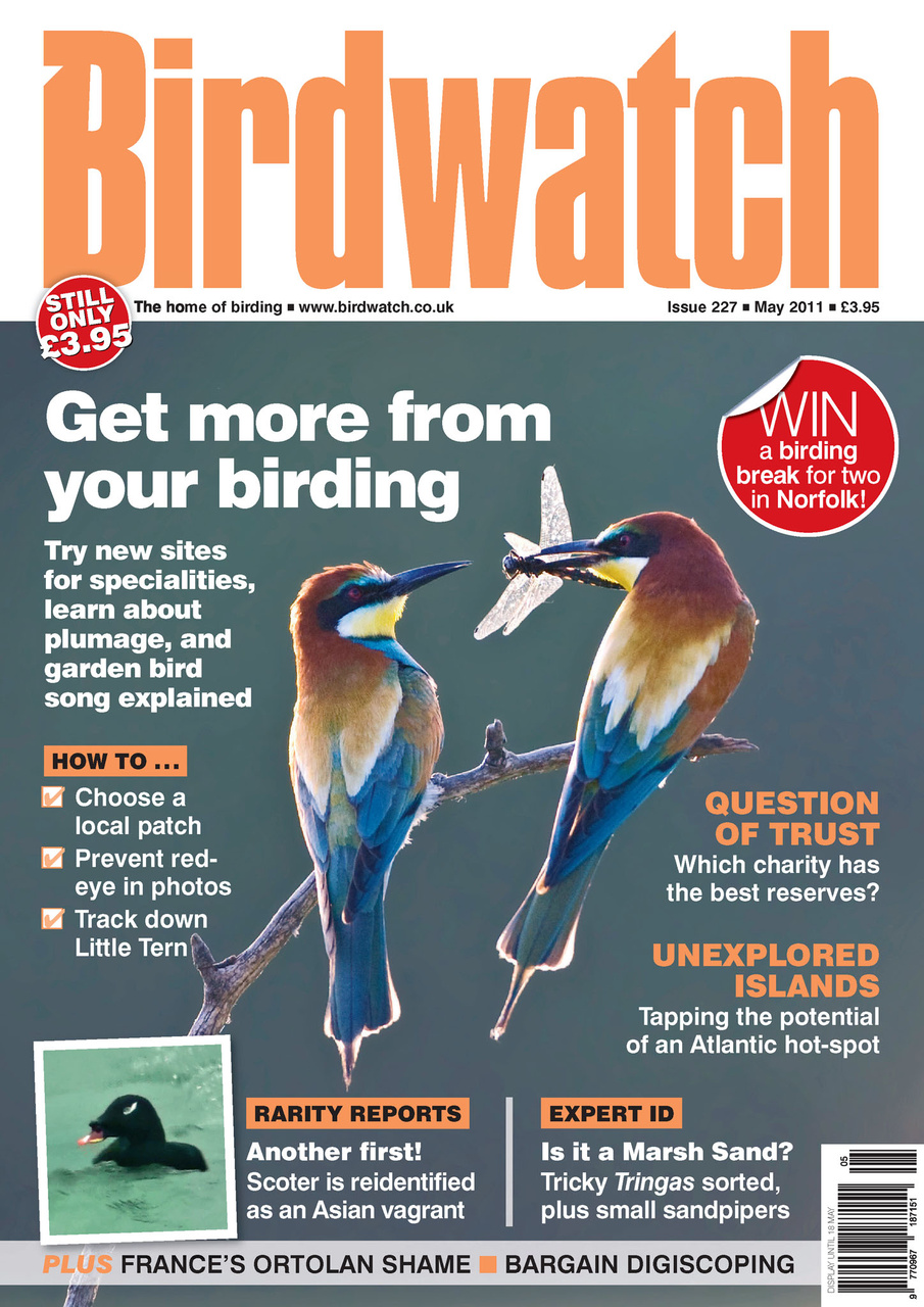 Birdwatch Magazine Preview Pages