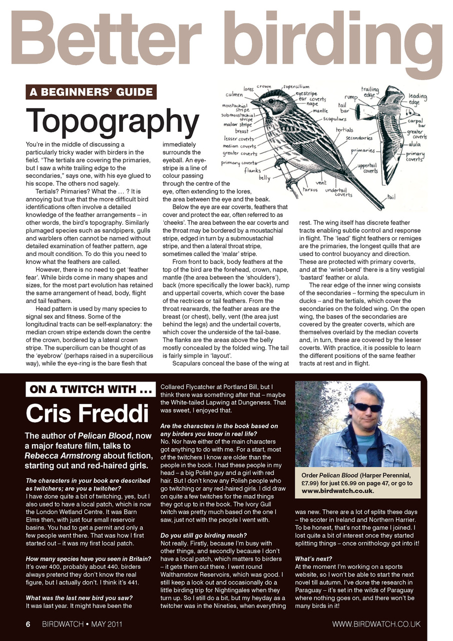 Birdwatch Magazine Preview Pages