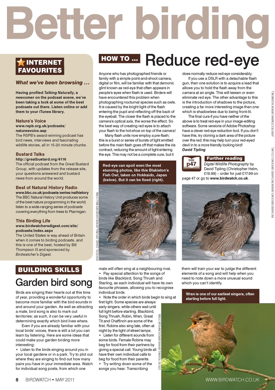Birdwatch Magazine Preview Pages