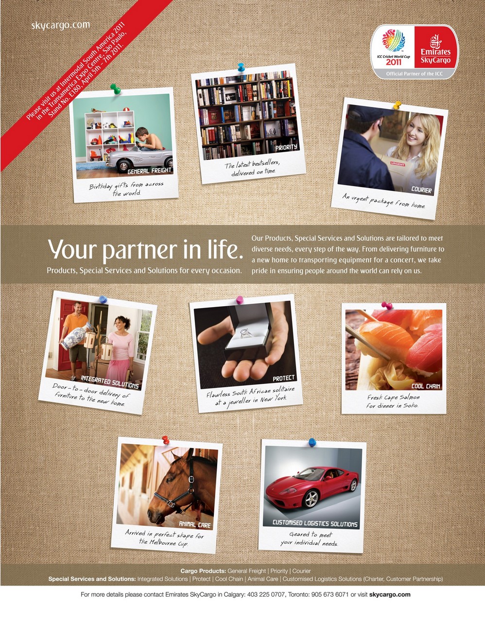 Resource World Preview Pages