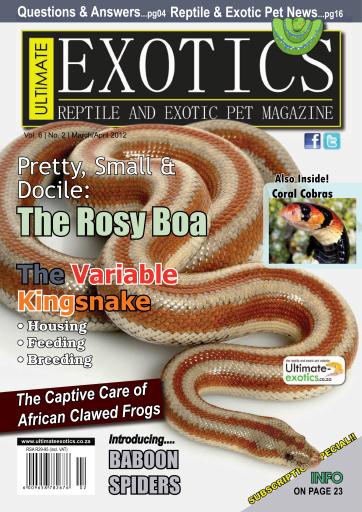 Ultimate Exotics issue 