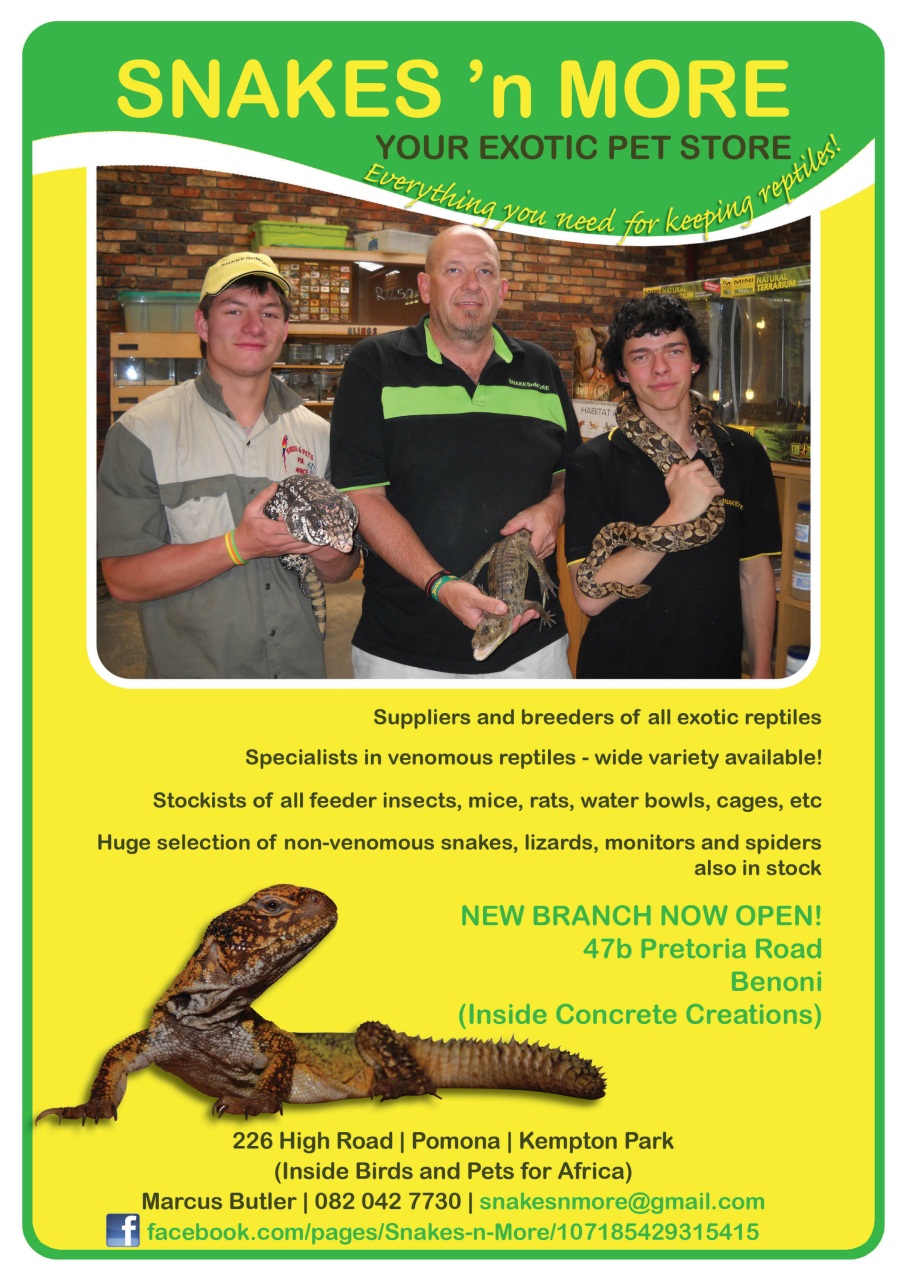 Ultimate Exotics Preview Pages