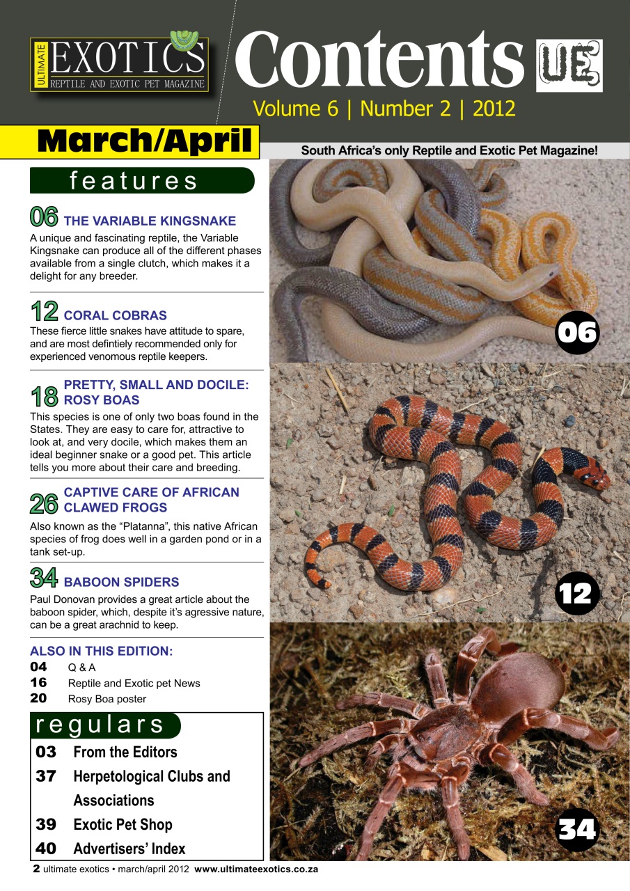 Ultimate Exotics Preview Pages