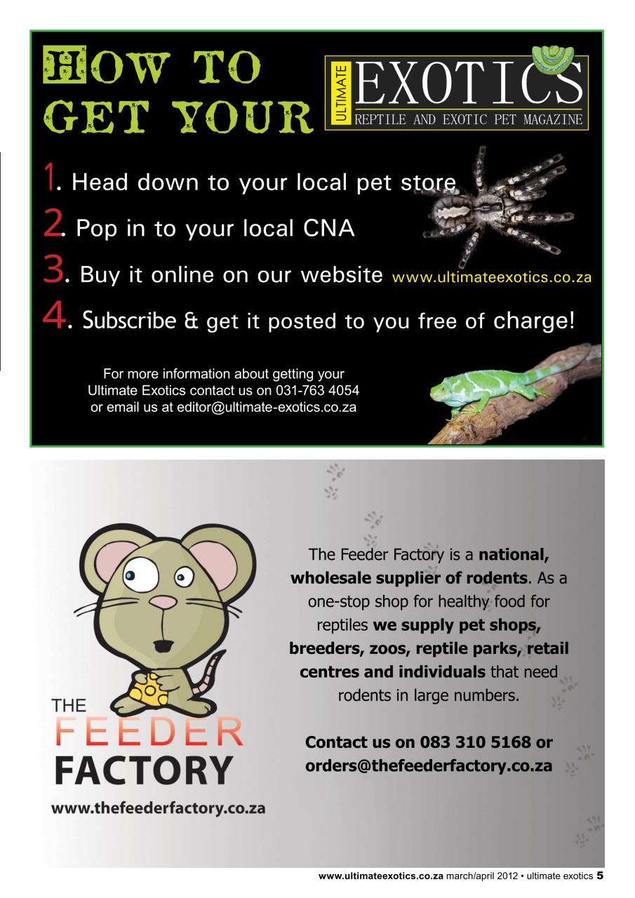 Ultimate Exotics Preview Pages