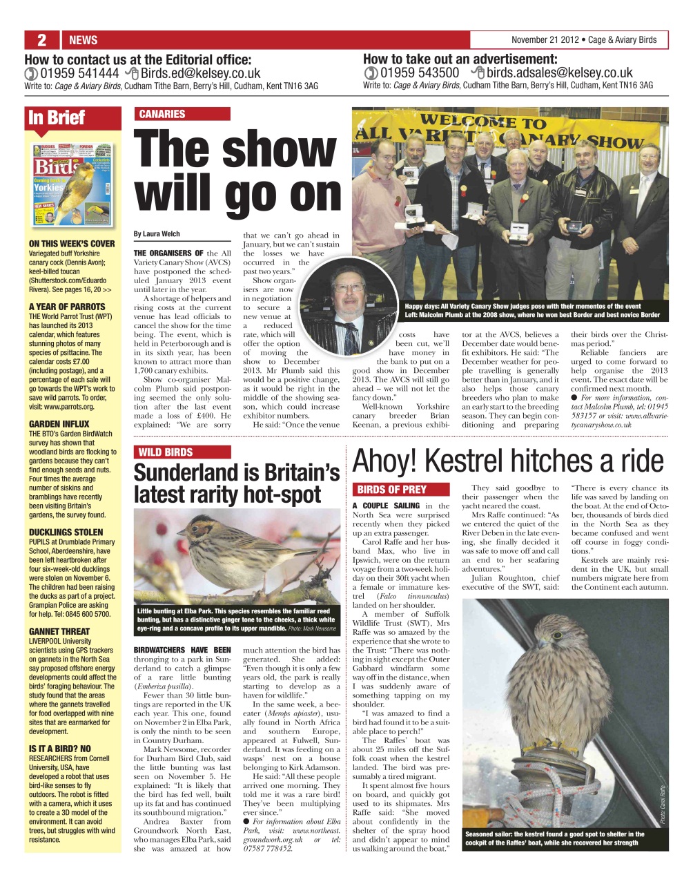 Cage & Aviary Birds Preview Pages