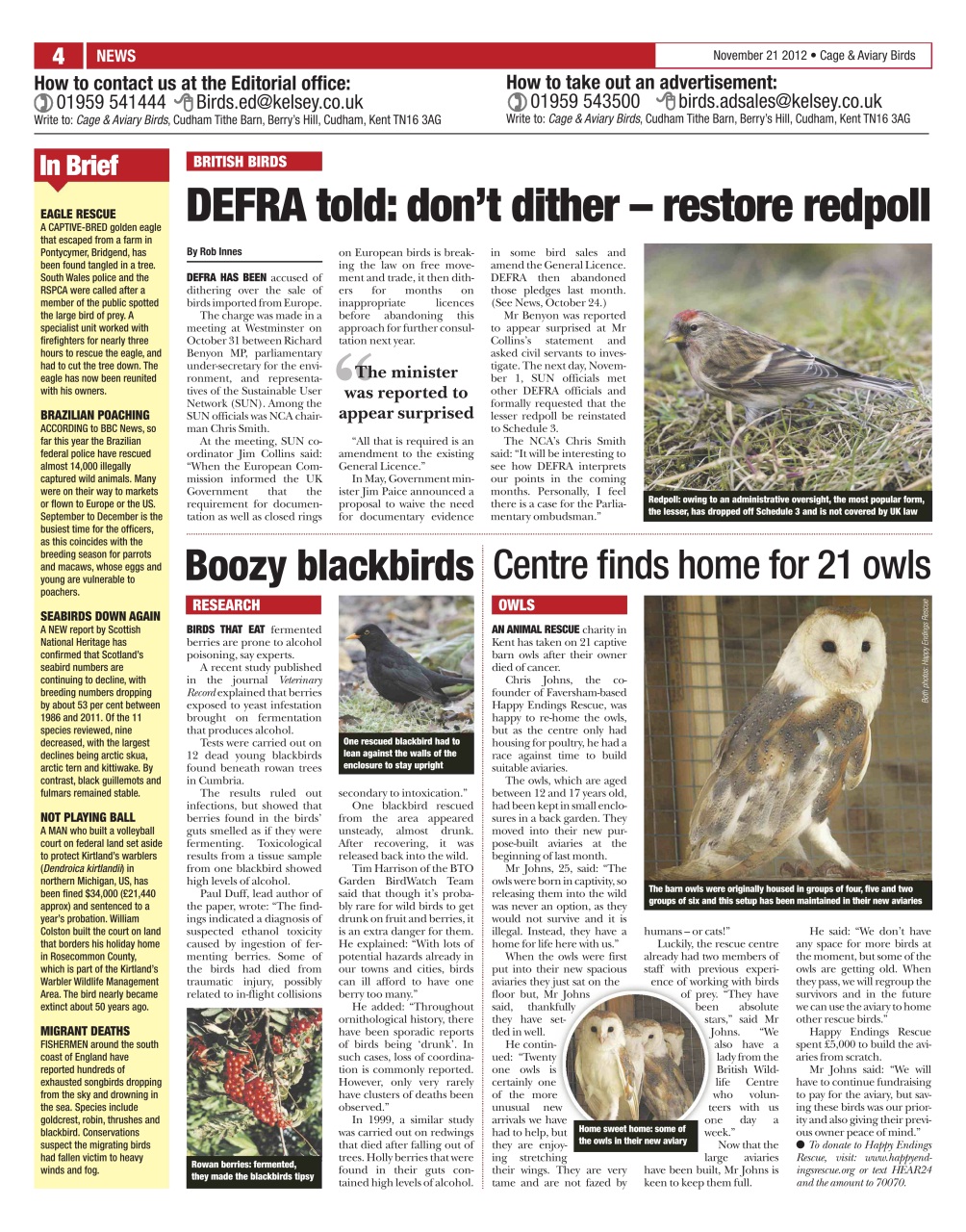 Cage & Aviary Birds Preview Pages