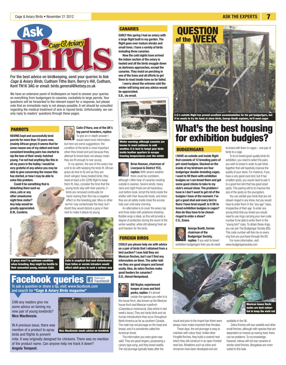 Cage & Aviary Birds Preview Pages