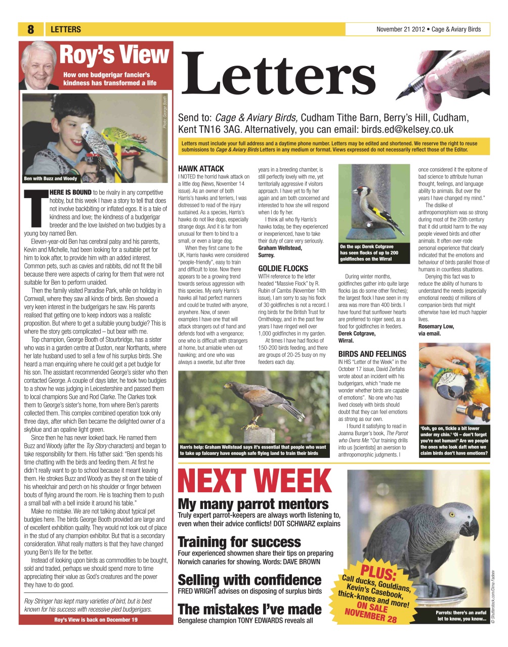 Cage & Aviary Birds Preview Pages