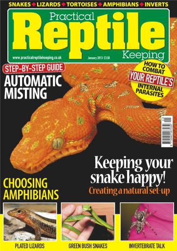 Practical Reptile Keeping issue 