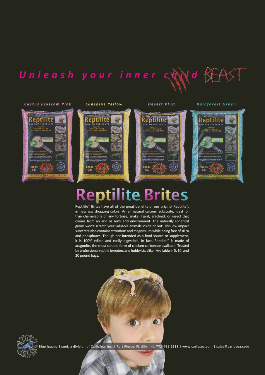 Practical Reptile Keeping Preview Pages