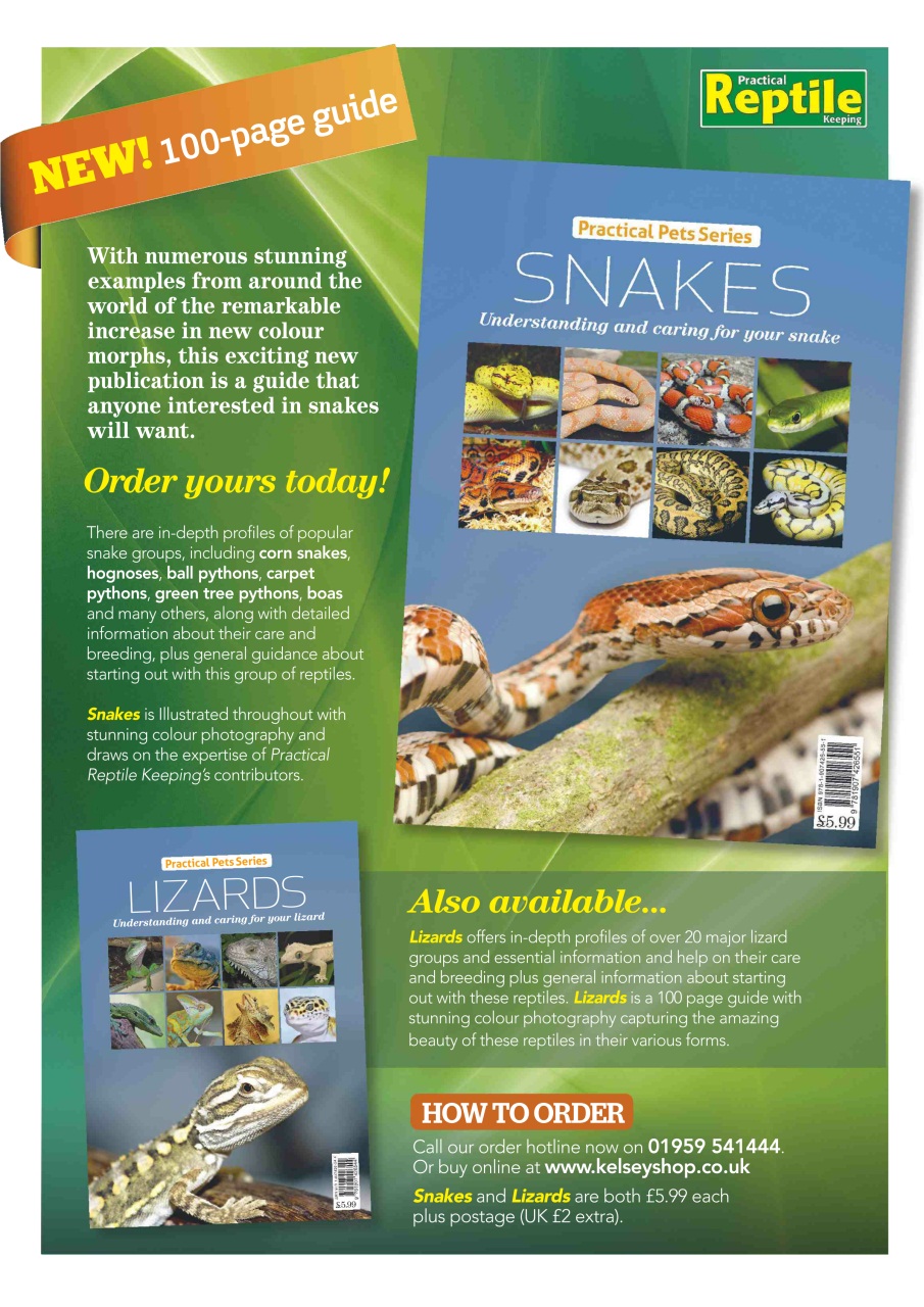 Practical Reptile Keeping Preview Pages