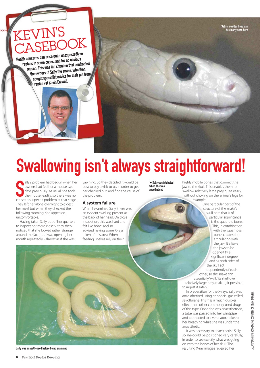 Practical Reptile Keeping Preview Pages