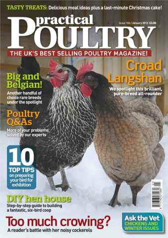 Practical Poultry issue Showing your birds January 2013