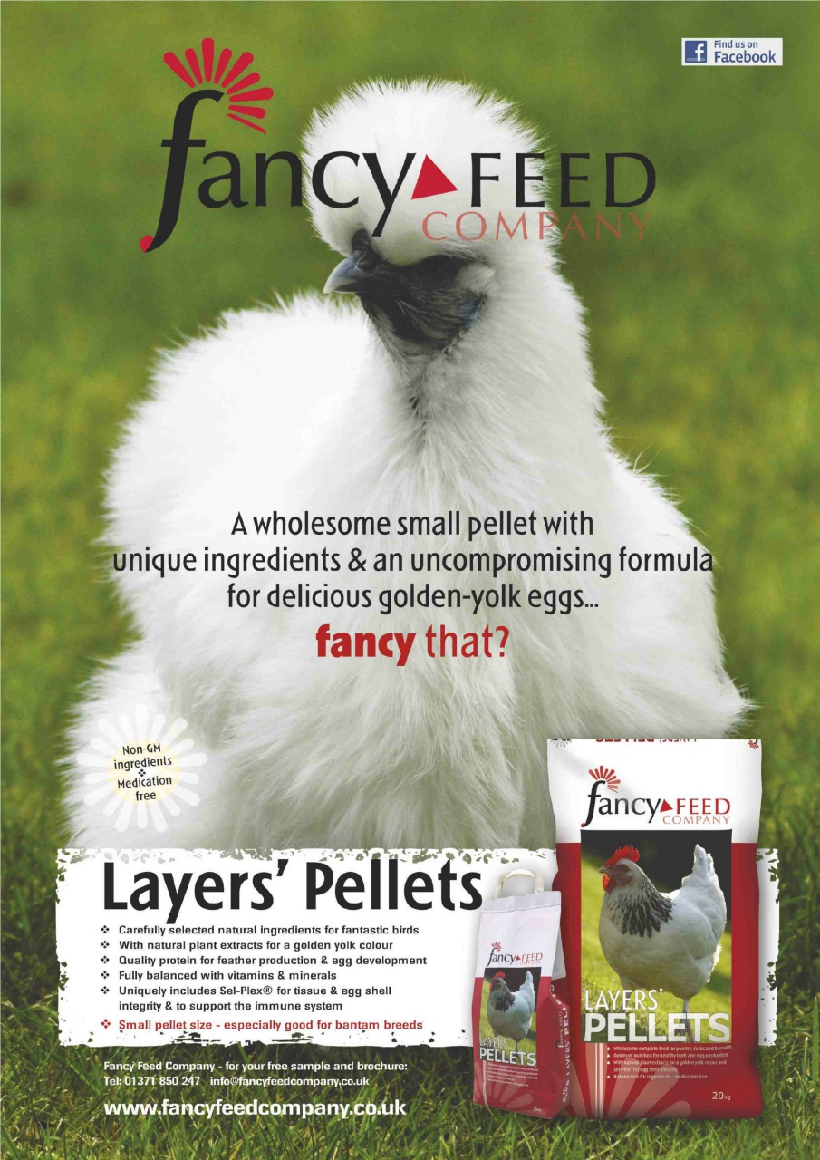 Practical Poultry Preview Pages