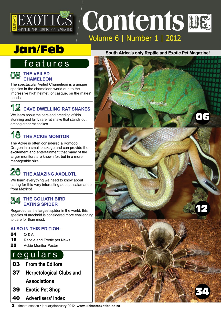 Ultimate Exotics Preview Pages