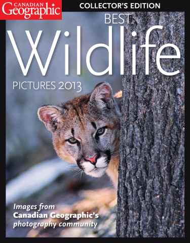 Canadian Geographic issue Best Wildlife Pictures 2013