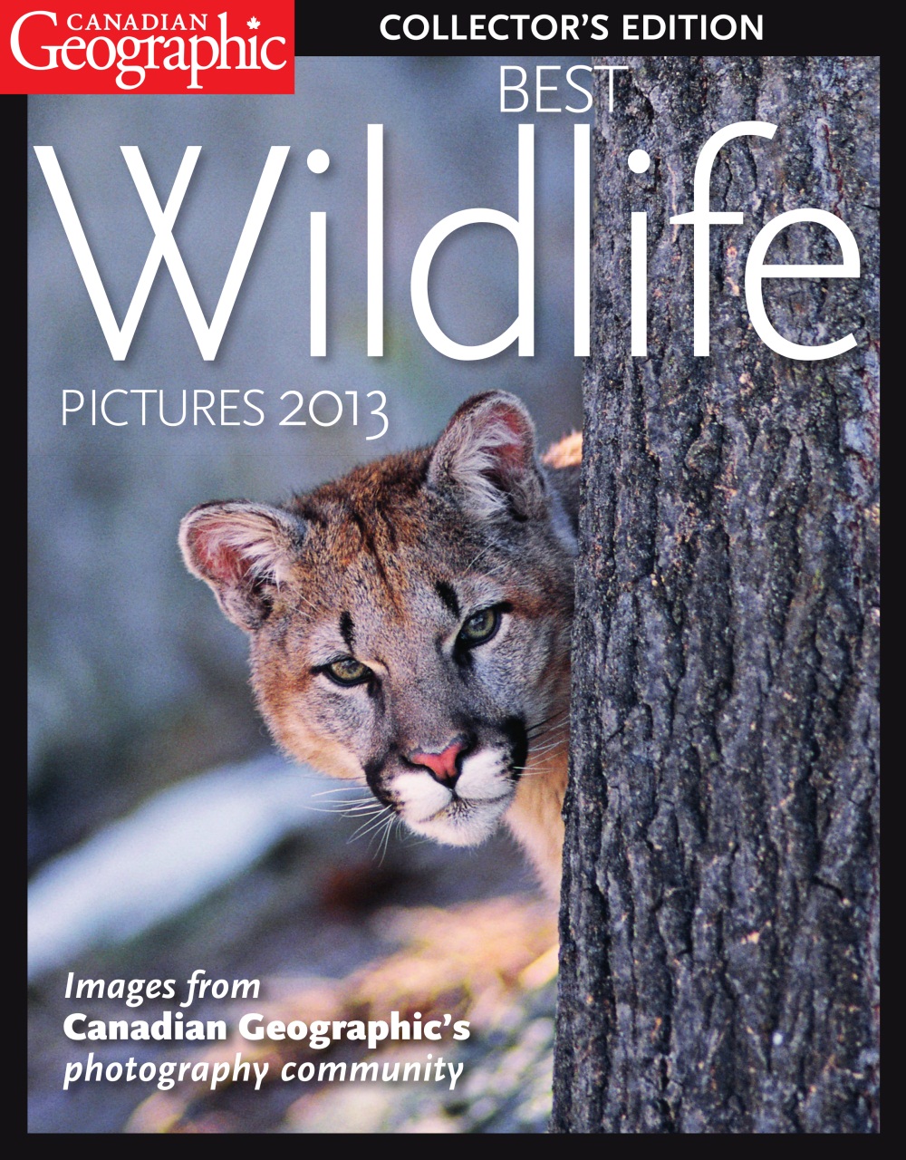 Canadian Geographic Preview Pages