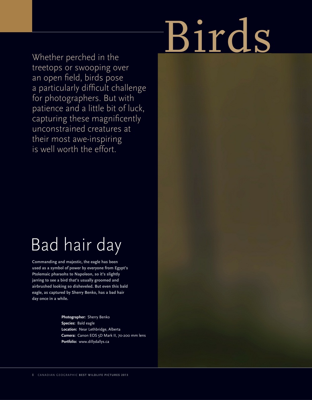 Canadian Geographic Preview Pages