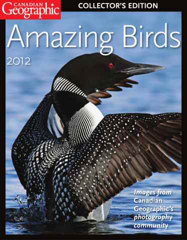 Canadian Geographic issue Amazing Birds 2012