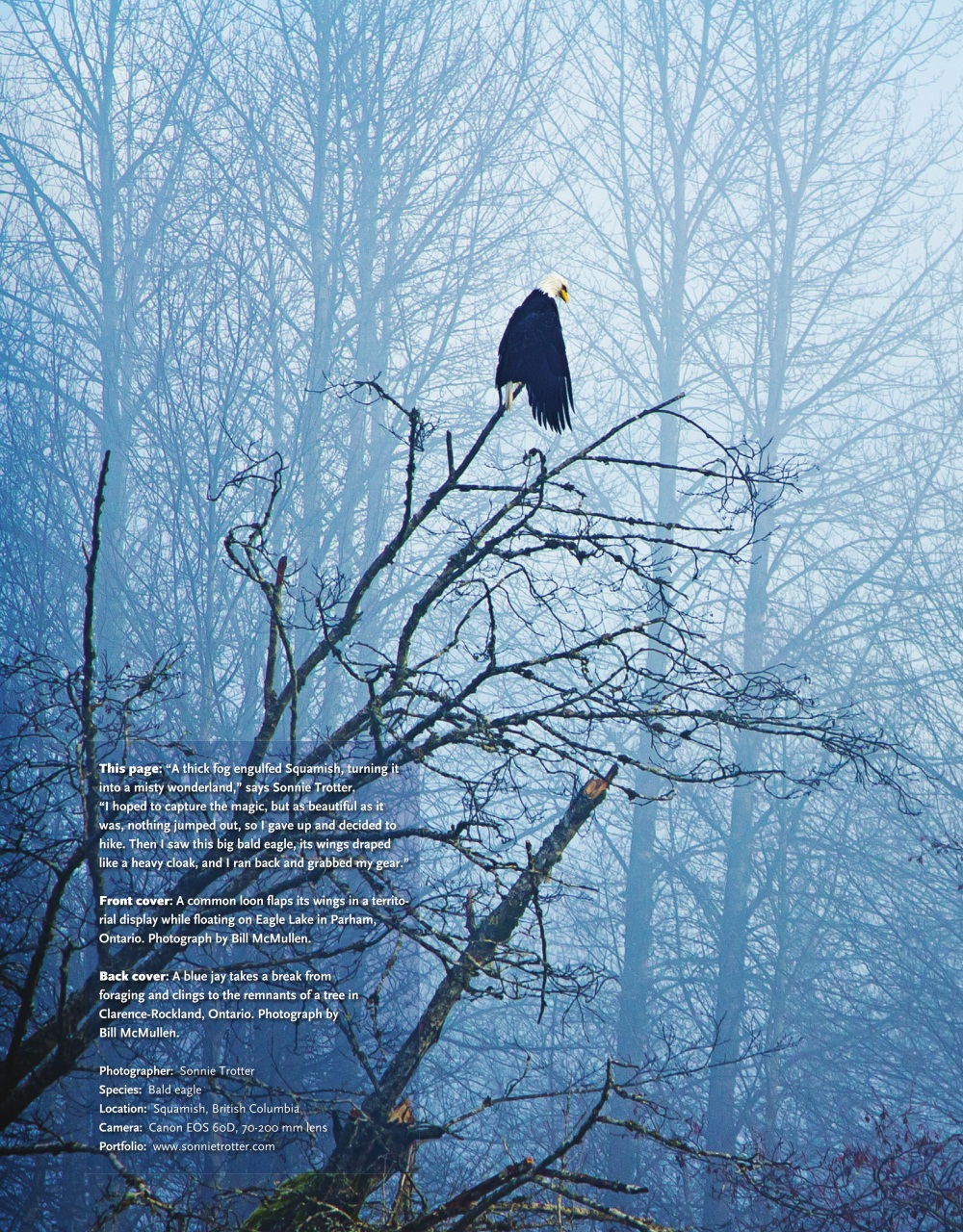 Canadian Geographic Preview Pages