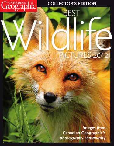 Canadian Geographic issue Best Wildlife Pictures 2012